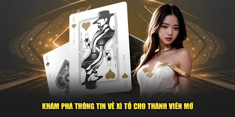 Khám Phá Chi Tiết Thông Tin Về Xì Tố Cho Thành Viên Mới