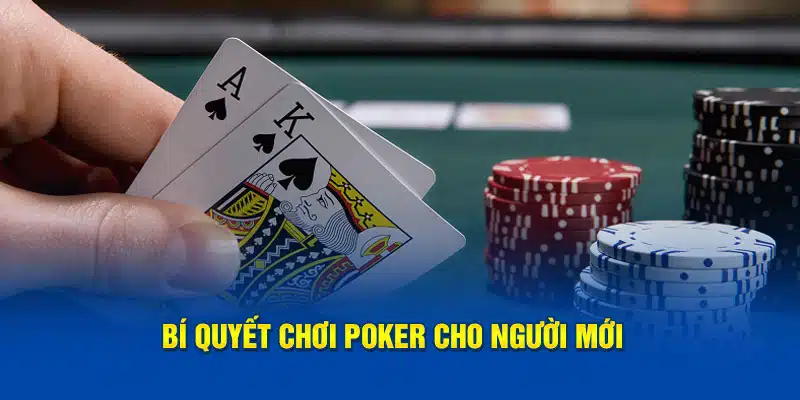 Bí quyết chơi poker cho người mới siêu hiệu quả được áp dụng